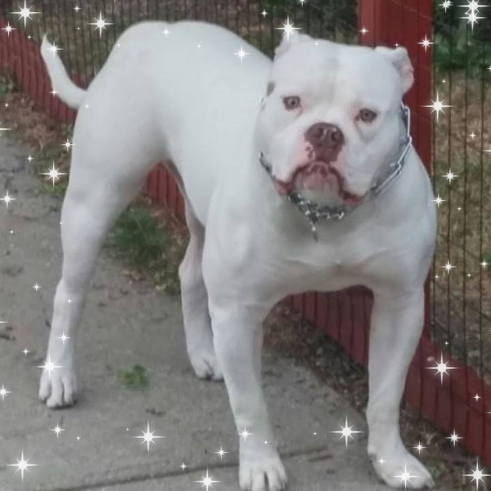 Meet your Posher, Libbysean